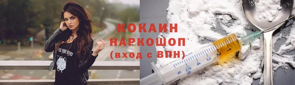 ГАЛЛЮЦИНОГЕННЫЕ ГРИБЫ Михайлов