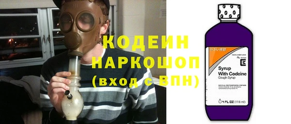 ГАЛЛЮЦИНОГЕННЫЕ ГРИБЫ Михайлов