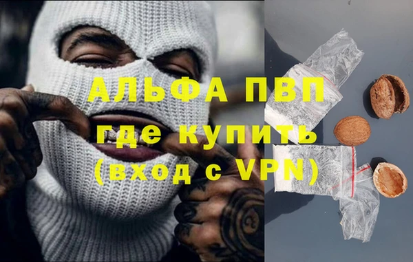 амф Новодвинск