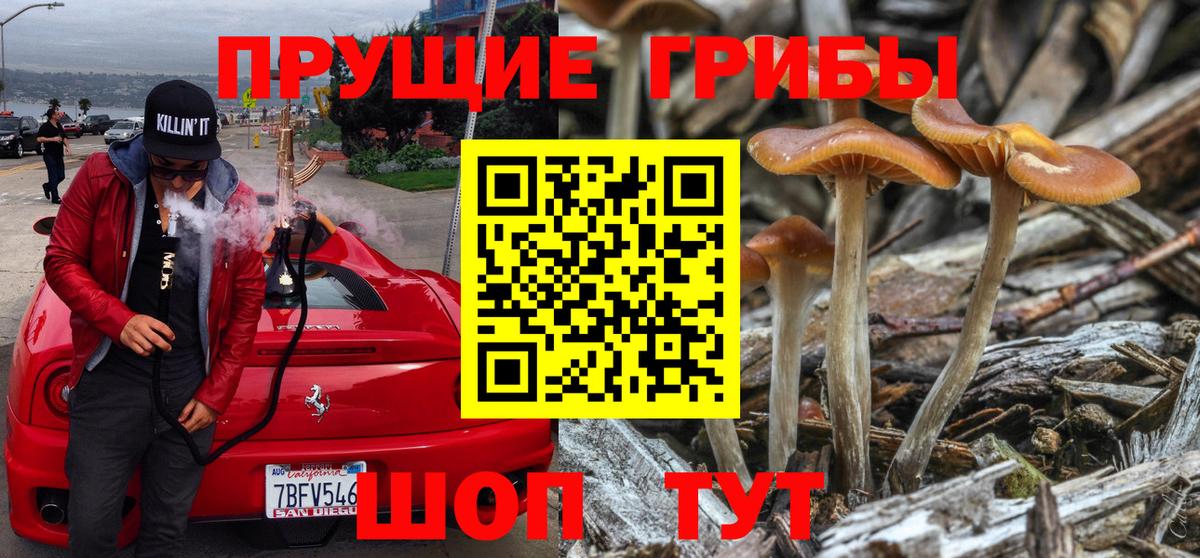 Псилоцибиновые грибы GOLDEN TEACHER Лобня