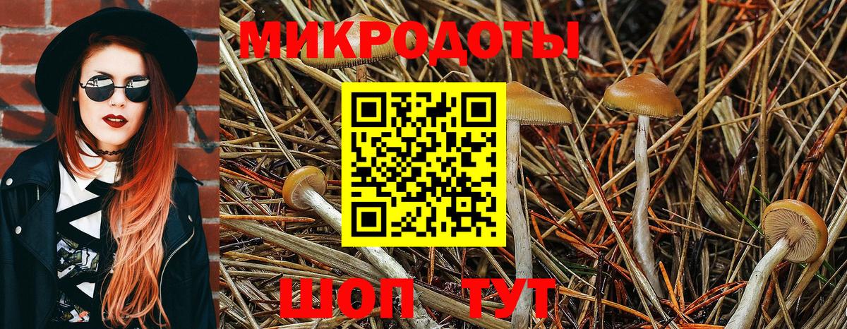 Лобня  Псилоцибиновые грибы Magic Shrooms  купить закладку  Псилоцибиновые грибы мицелий  Вход с VPN 