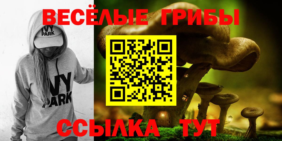 Галлюциногенные грибы Psilocybine cubensis Лобня