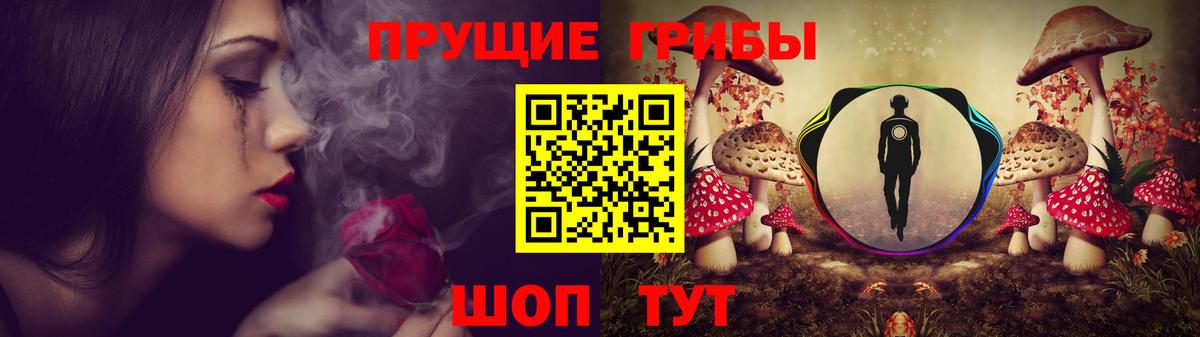 Псилоцибиновые грибы прущие грибы  Вход с VPN  где купить наркоту  Лобня  Псилоцибиновые грибы Psilocybe 