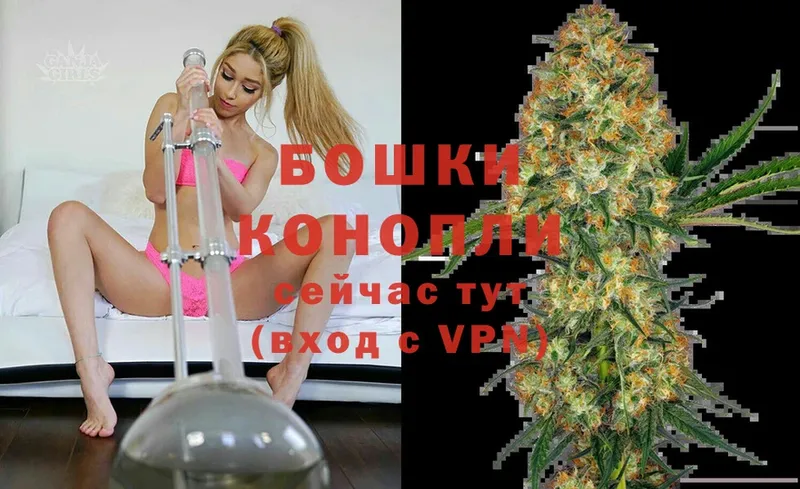 Шишки марихуана SATIVA & INDICA  маркетплейс телеграм  мега вход  Лобня  продажа наркотиков 